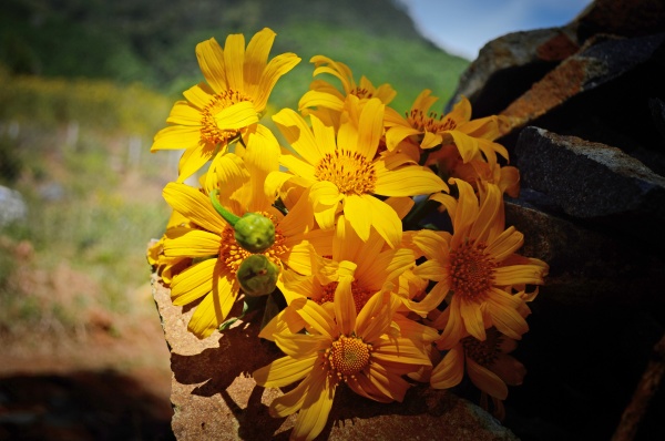 Tử vi của 12 con giáp trong ngày 20/9/2019