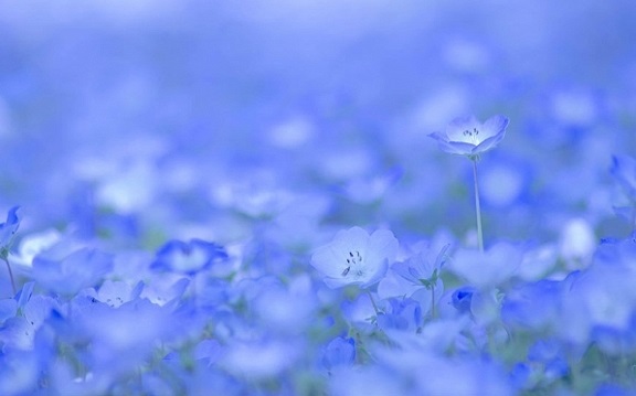 Tử vi của 12 con giáp trong ngày 2/10/2019