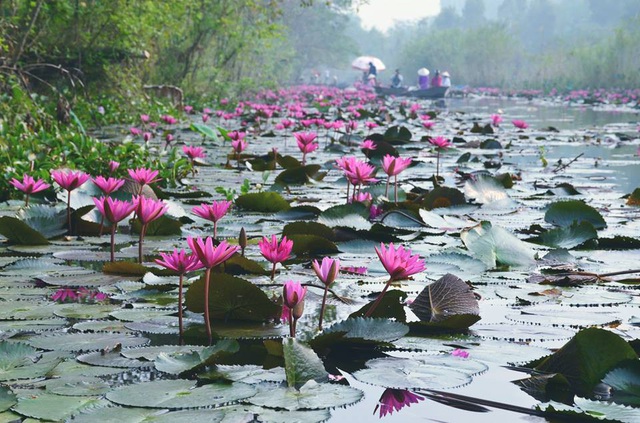 Tử vi của 12 con giáp trong ngày 9/10/2019