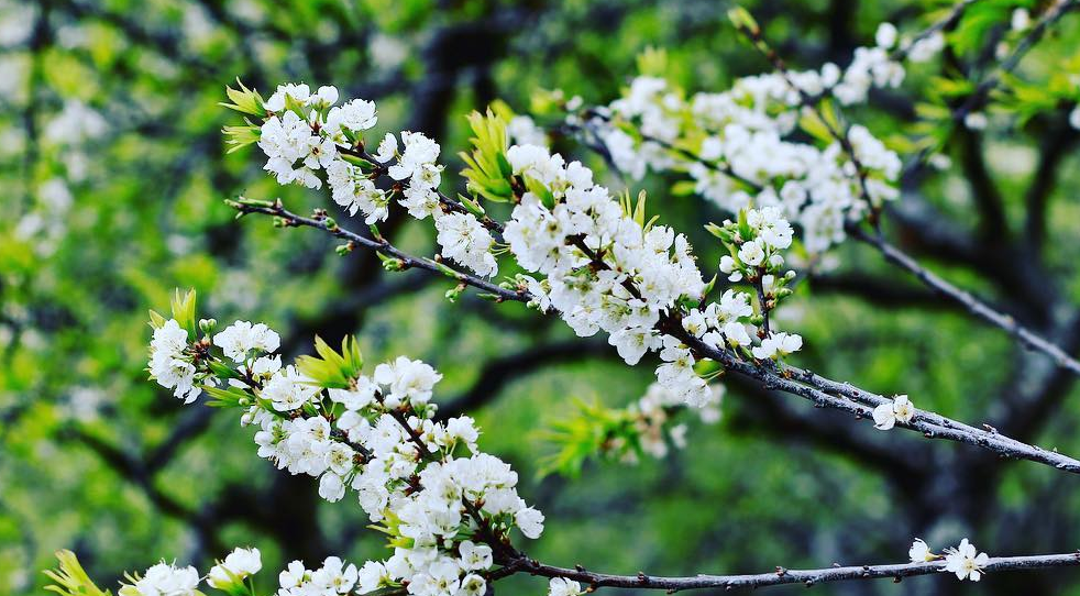 Tử vi của 12 con giáp trong ngày 22/10/2019