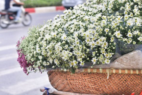 Tử vi của 12 con giáp trong ngày 6/11/2019