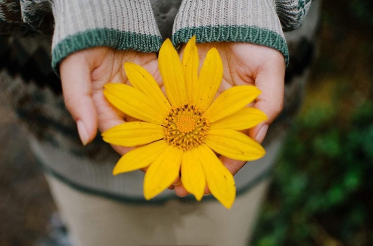 Tử vi của 12 con giáp trong ngày 7/11/2019