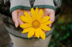 Tử vi của 12 con giáp trong ngày 7/11/2019