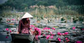 Tử vi của 12 con giáp trong ngày 11/11/2019