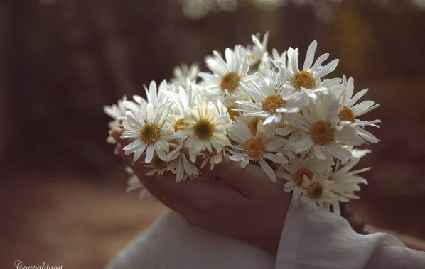 Tử vi của 12 con giáp trong ngày 2/12/2019