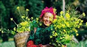 Cuộc đời này, sống đơn giản bao nhiêu thì lòng sẽ thanh thản bấy nhiêu