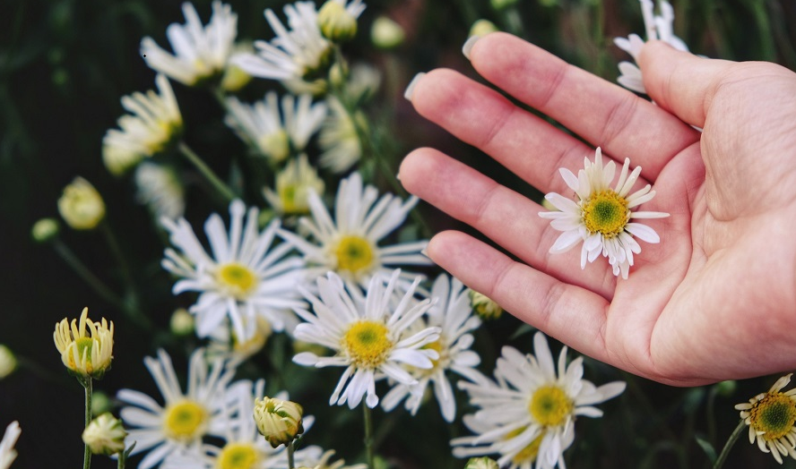 Tử vi của 12 con giáp trong ngày 22/12/2019