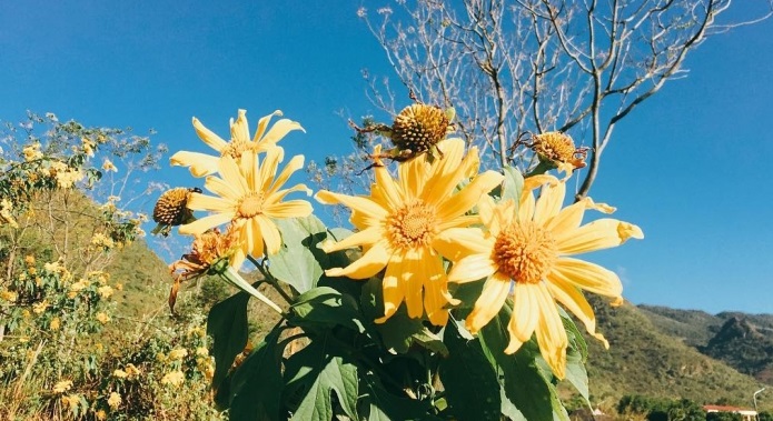 Tử vi của 12 con giáp trong ngày 23/12/2019