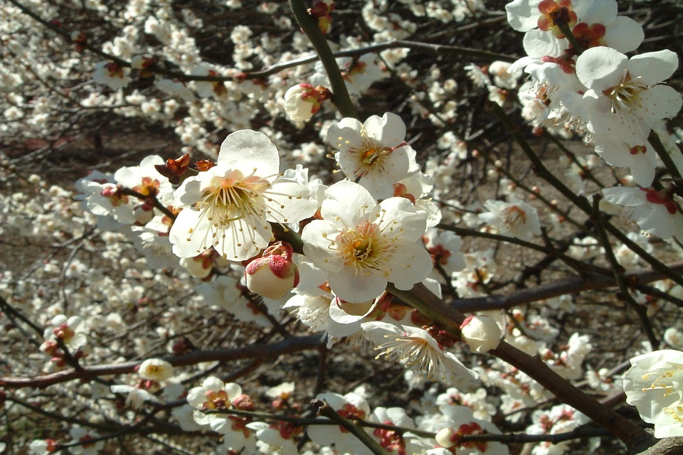 Tử vi của 12 con giáp trong ngày 13/1/2020