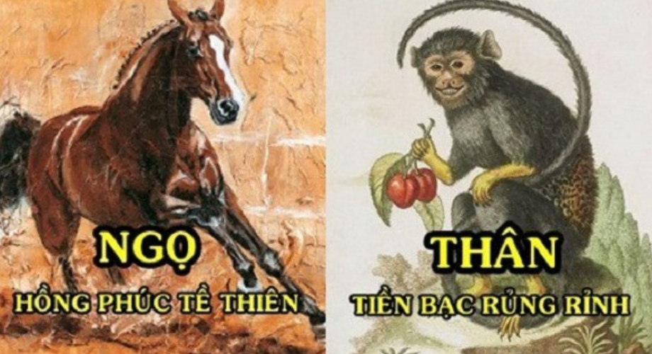 Năm 2020, Nhà Nào Có Người Tuổi Ngọ – Thìn – Thân Là Hồng Phúc Tề Thiên, Giàu Có Sung Túc Cả Năm