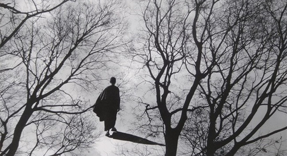 Năm Mới Khắc Ghi: Bình Dị Mới Là Chân Thành, Khỏe Mạnh Mới Là Phúc Lộc