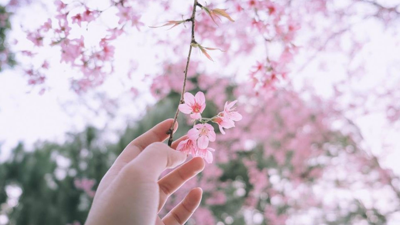 Tử vi của 12 con giáp trong ngày 5/2/2020