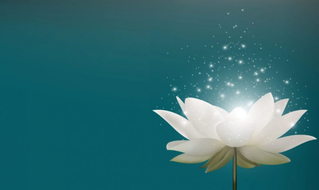 Người khổ tâm trời chẳng phụ, kẻ độc tâm sớm muộn cũng phải nhận báo ứng