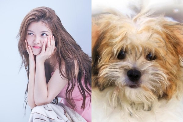 Qua rằm tháng Giêng, 3 con giáp được thần tài gọi tên, phúc lộc đầy nhà, tiền tiêu không hết