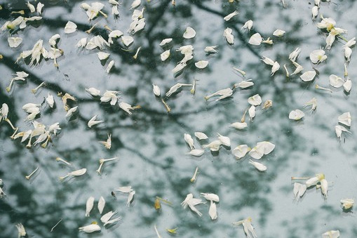 Xem tử vi của 12 con giáp trong ngày 23/2/2020