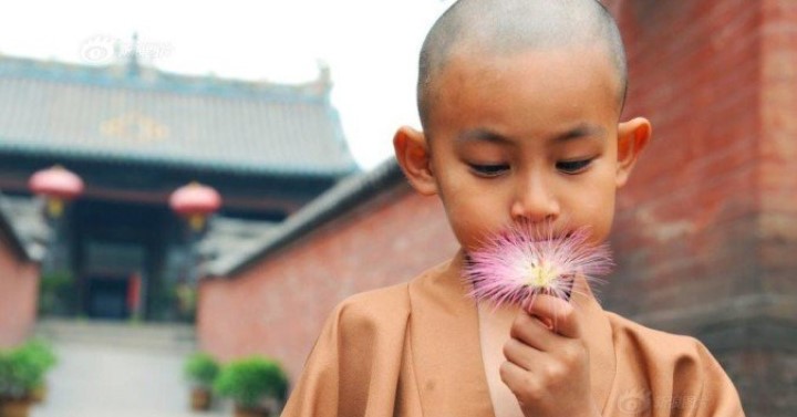 Lòng an định mới hiểu được vạn vật, tâm tĩnh lặng mới thấu được lòng người