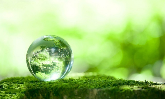 Làm người, lương thiện cần có đầu óc, khoan dung cần có giới hạn