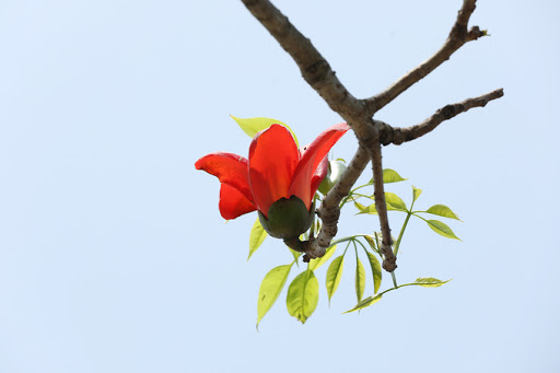 Tử vi của 12 con giáp trong ngày 6/3/2020