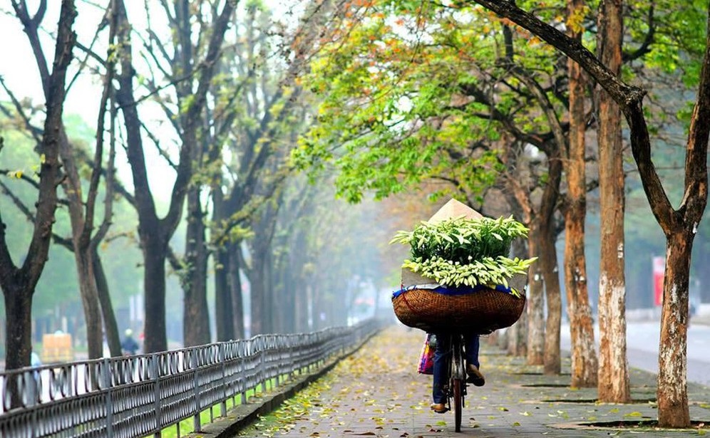 Tử vi của 12 con giáp trong ngày 10/3/2020