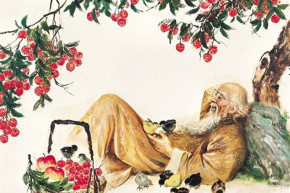 Cuộc sống không phải chiến trường đâu, đâu cần ganh đua cao thấp