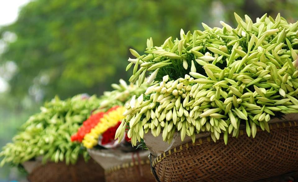 Tử vi của 12 con giáp trong ngày 12/3/2020