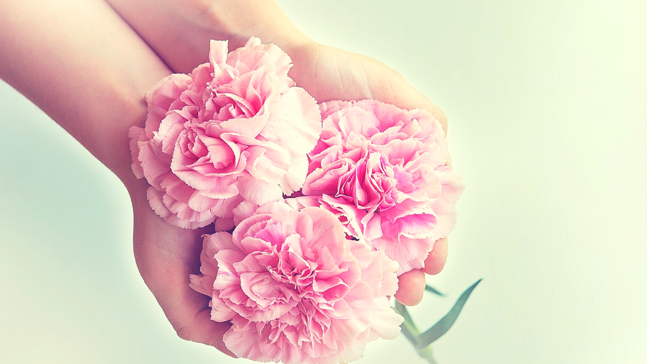 Khoan dung - điều tu dưỡng lớn nhất của đời người