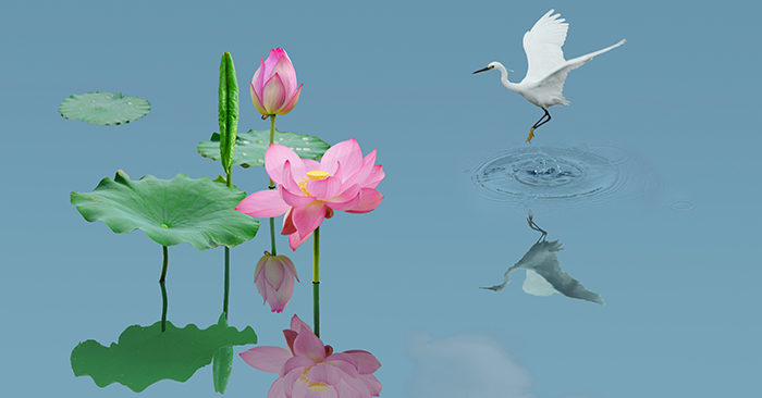 Cuộc sống hạnh phúc của một người gói gọn trong 4 câu này