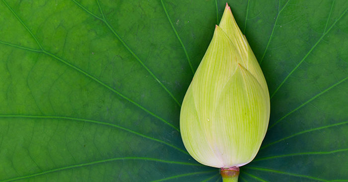 Tích đức không cần ai thấy, hành thiện tự có Trời biết