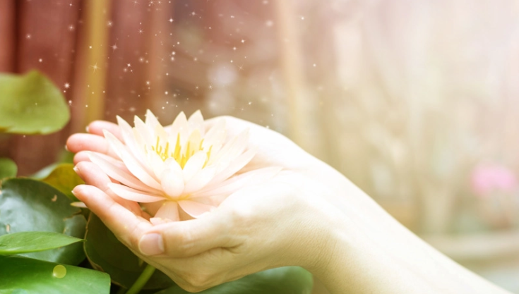 Nước quá trong thì không có cá, người soi xét quá thì không có tri âm