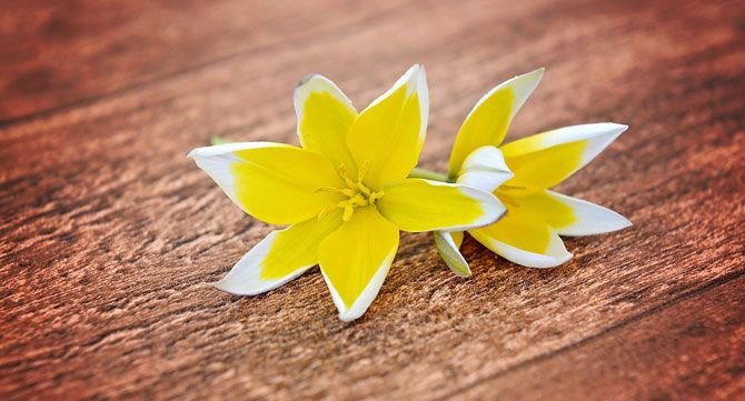 Chúng ta mất 2 năm để học nói, nhưng phải mất cả đời để học im lặng