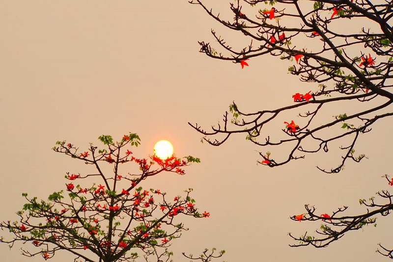 Tử vi của 12 con giáp trong ngày 30/3/2020