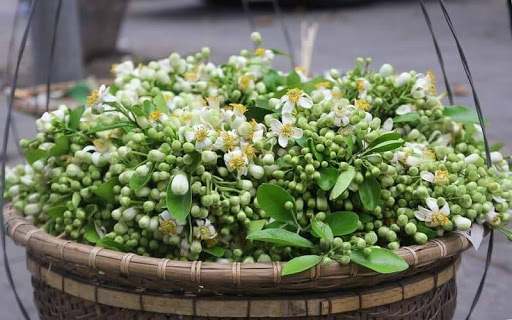 Tử vi của 12 con giáp trong ngày 31/3/2020