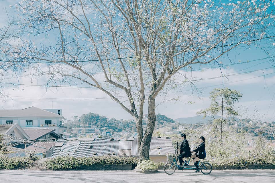 Tử vi của 12 con giáp trong ngày 5/4/2020