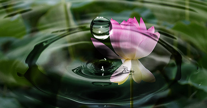 Muốn có tướng mạo thoát tục, hãy có nội tâm phi phàm