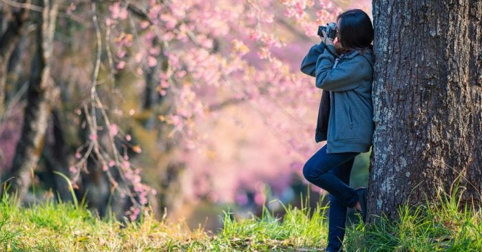 Những nơi quen thuộc sẽ không có cảnh đẹp! Đời người cũng như vậy
