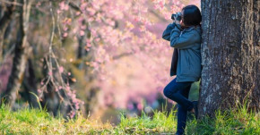 Những nơi quen thuộc sẽ không có cảnh đẹp! Đời người cũng như vậy