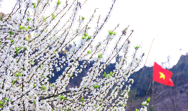 Tử vi của 12 con giáp trong ngày 15/4/2020