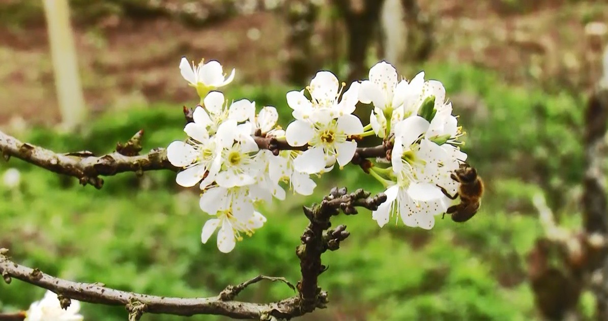 Tử vi của 12 con giáp trong ngày 18/4/2020
