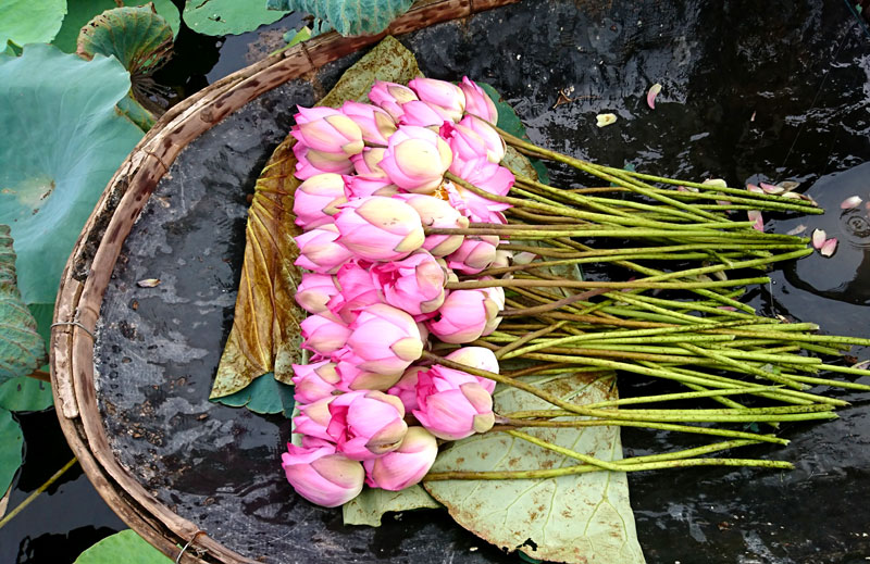 Tử vi của 12 con giáp trong ngày 19/4/2020