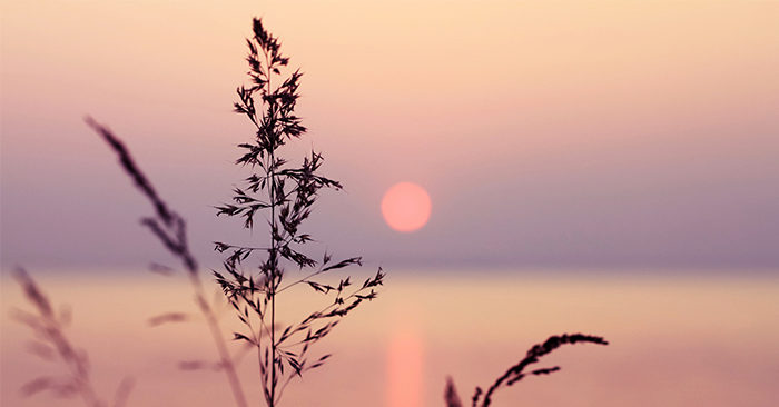 Đời người ngắn ngủi, thử hỏi có gì đáng để ta tranh giành?