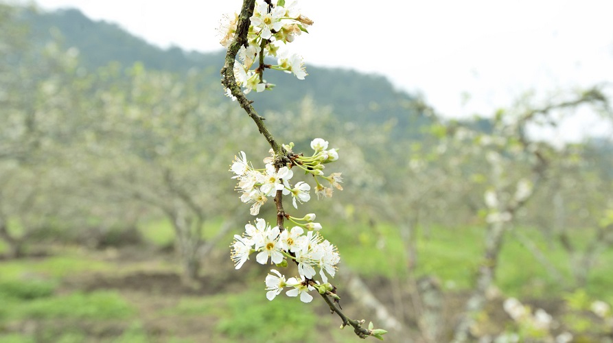 Tử vi của 12 con giáp trong ngày 22/4/2020