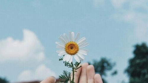 11 việc bạn nên gạch bỏ khỏi cuộc đời mình nếu muốn sống thảnh thơi hơn