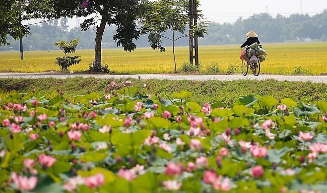 Tử vi của 12 con giáp trong ngày 28/4/2020