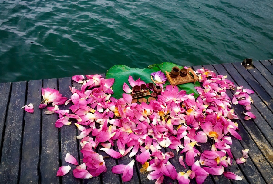 Tử vi của 12 con giáp trong ngày 13/5/2020