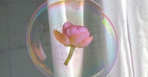 Cái gì của bạn cuối cùng sẽ thuộc về bạn nên không cần quá cưỡng cầu