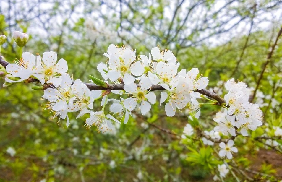 Tử vi của 12 con giáp trong ngày 16/5/2020