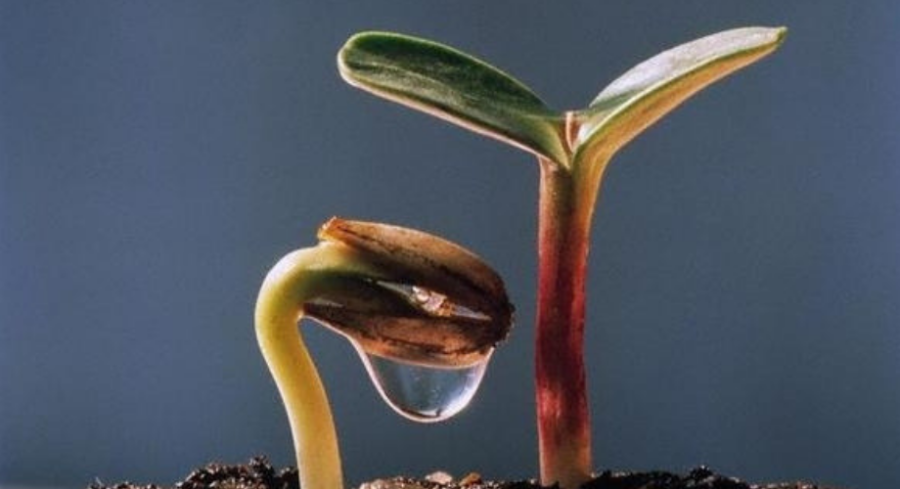 Sống ở đời, đừng sống quá tốt với bất kỳ ai, hãy biết yêu thương chính mình