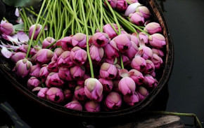 Tử vi của 12 con giáp trong ngày 30/5/2020