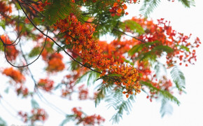 Tử vi của 12 con giáp trong ngày 9/6/2020