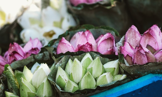 Tử vi của 12 con giáp trong ngày 16/6/2020